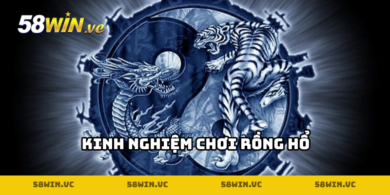 Kinh nghiêm chơi Rồng Hổ không biết mùi thất bại